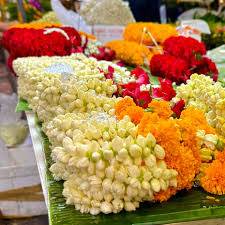 images_original_copy_2_copy_1