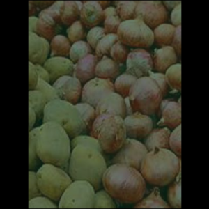 onionpotato_original_copy_2_copy_1