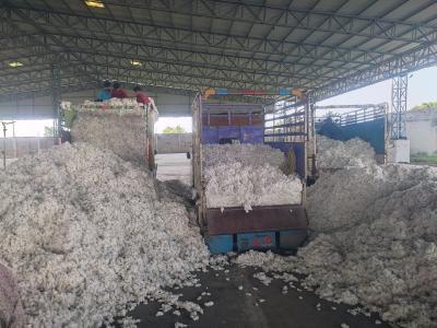 Whatsapp Image 2025 11 13 At 2.11.48 Pm2