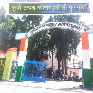 WhatsApp_Image_2025-11-13_at_11.47.32_AM_original