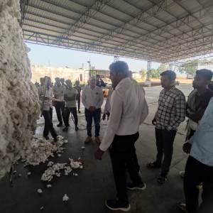 WhatsApp_Image_2025-11-13_at_2.11.48_PM_original