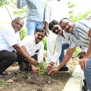 vrksaropana_original