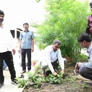 jhade_lalava_jhale_jagava_original