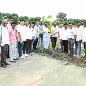 varaksa_ropana_original